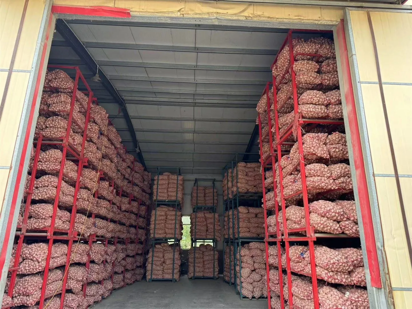 Складиштени бели лук