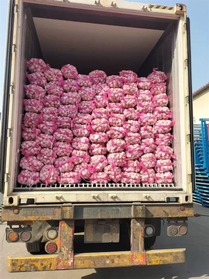 Нице мик бели лук